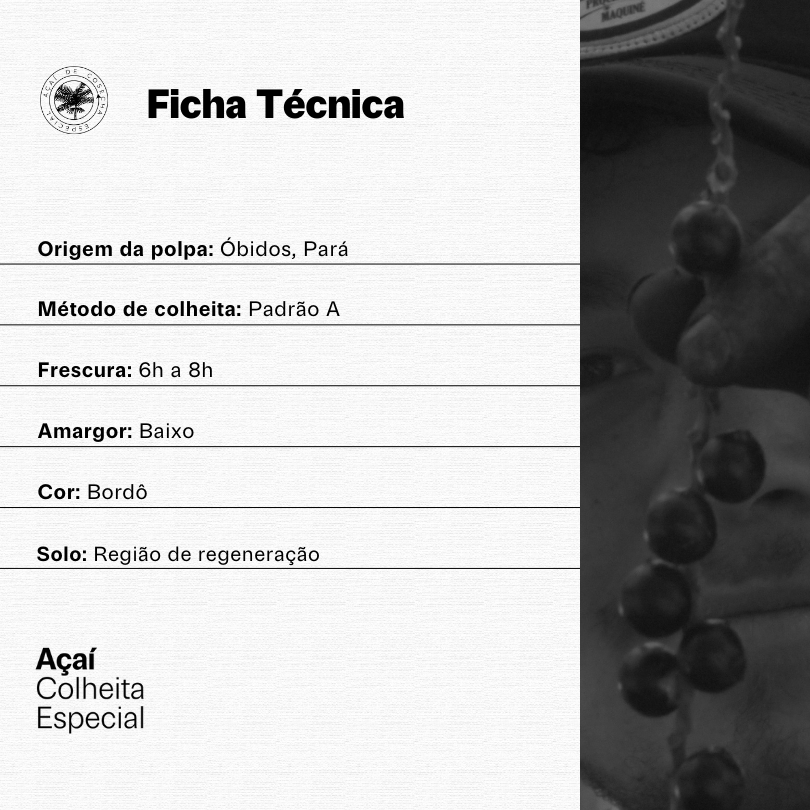 Açaí Superconcentrado | Intense Blend 2L