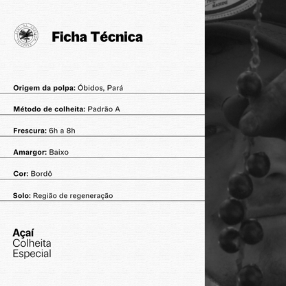 Açaí Superconcentrado | Intense Blend 2L